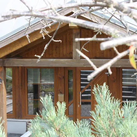 Am Stadtpark Guest house
